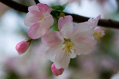 《致命直播Deadly Broadcast》第三张地图—让你尖叫不止的恐怖渔村！